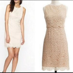 J.Crew lace dress